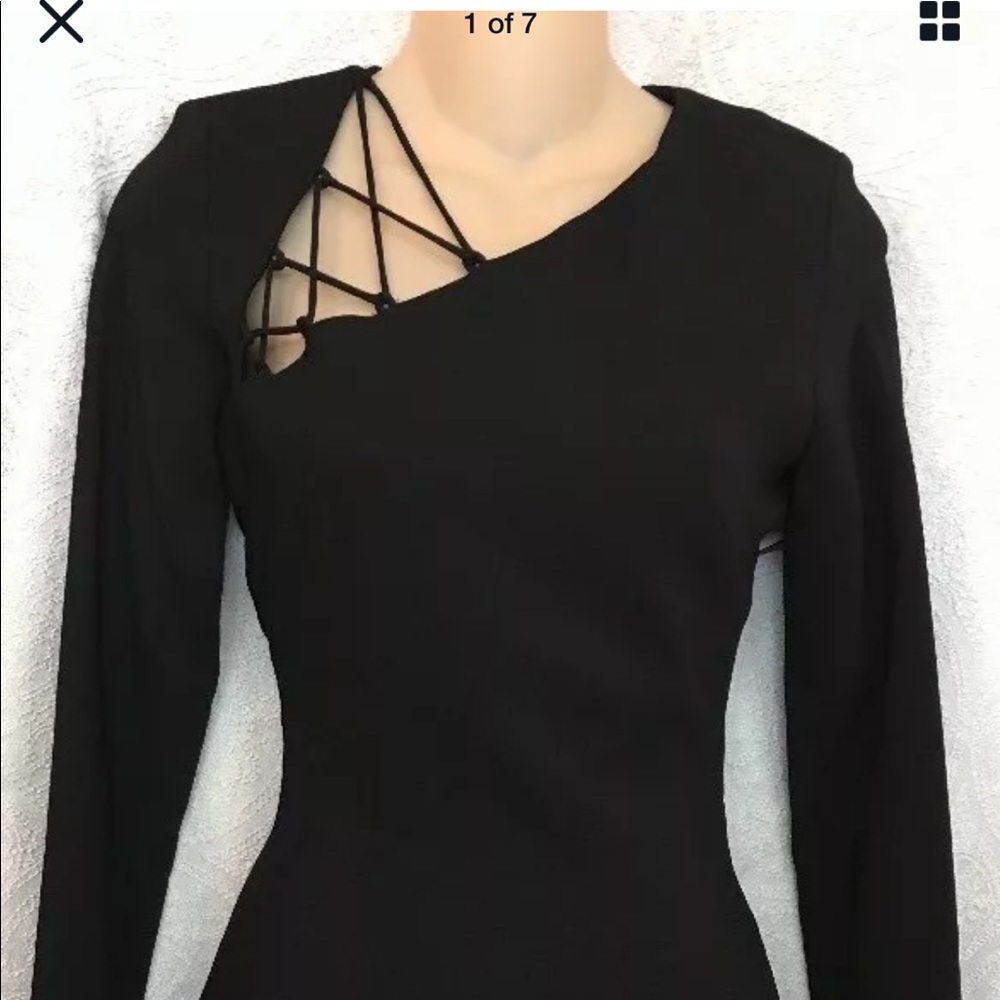 Cushnie et och dress.